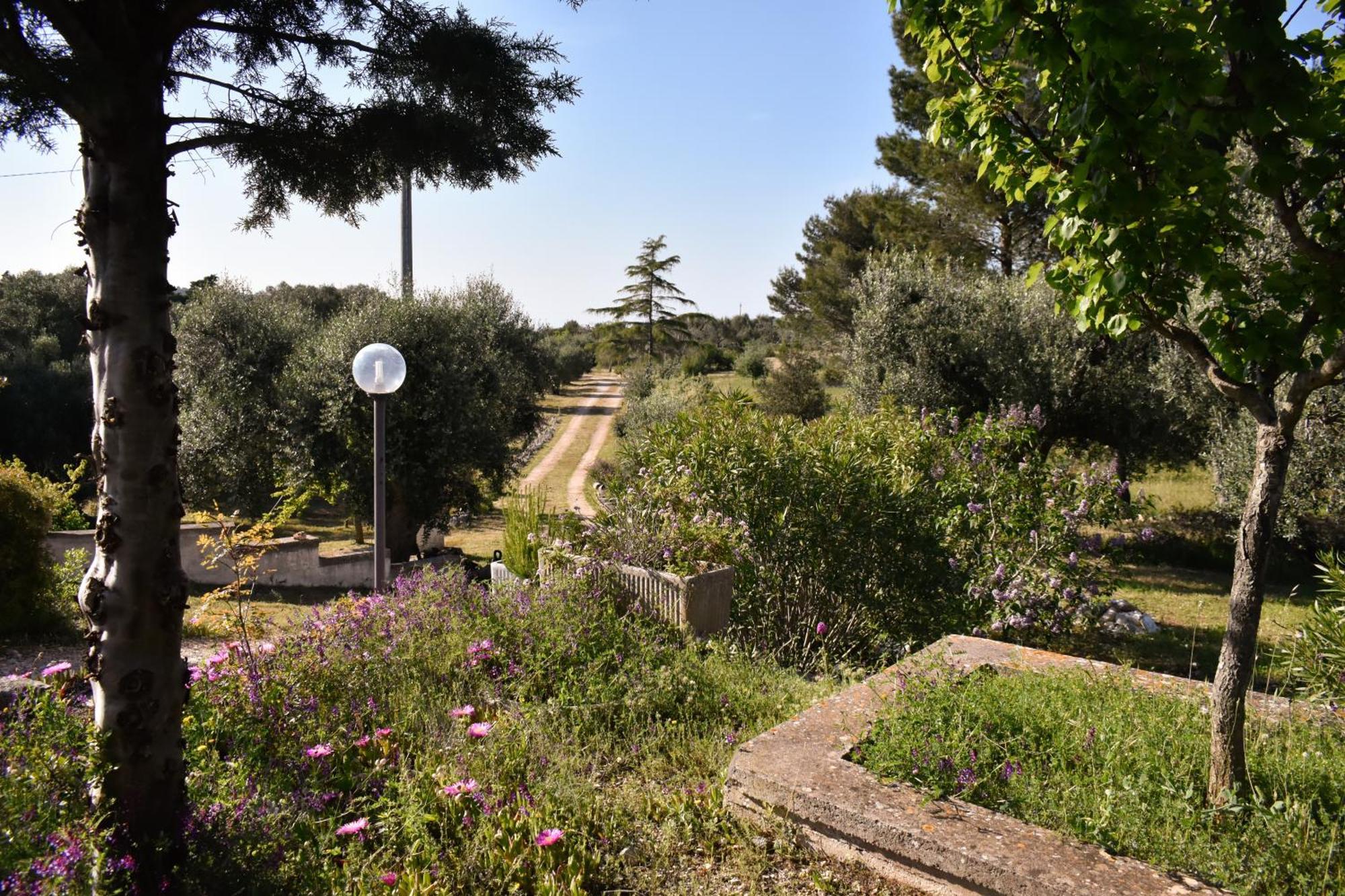 Terre D'Amore - For Couples Hotel Ostuni Exterior photo